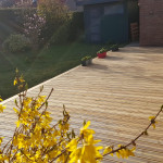 Terrasse en bois naturel