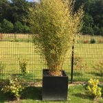 Paysagiste : Plantation engazonnement